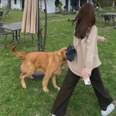 穿越者之异梦空间